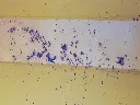 GIO-IOP11000-IOZPCS102811000-IO00000171-Occasion (10).webp